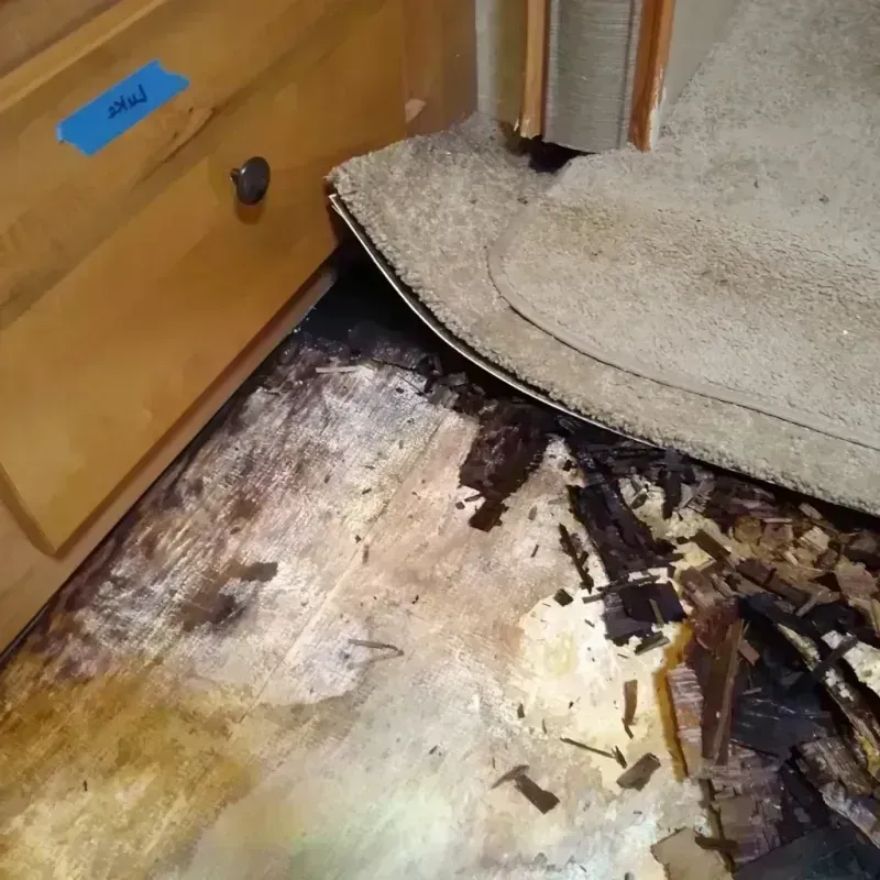 Wood Floor Water Damage in Kahoka, MO